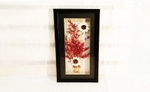 give this designed flower vase wall frame on rent 