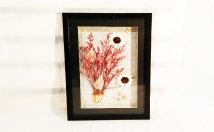 give this framed painting on rent