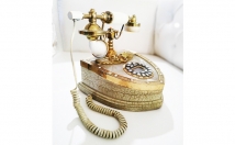 give this telephone on rent 