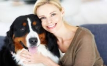 take care of your pets on an hourly basis