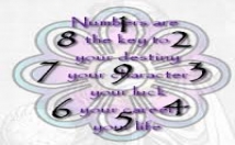 guide you to a perfect numerologist on an hourly basis