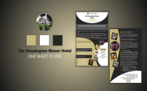 create a professional one sheet in 24 hour