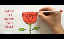 teach how to draw a Rose