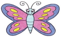 teach how to draw A Butterfly !