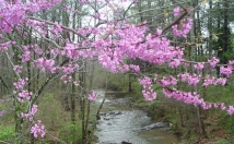 provide you the location details for film shootings.