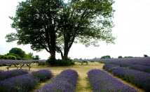 provide you this location details