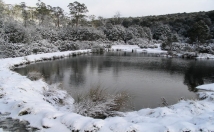 provide you this location details