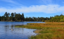 provide you this location details